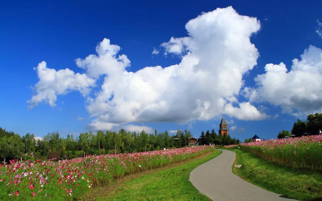 乡村旅游如何规划才能避免同质化？