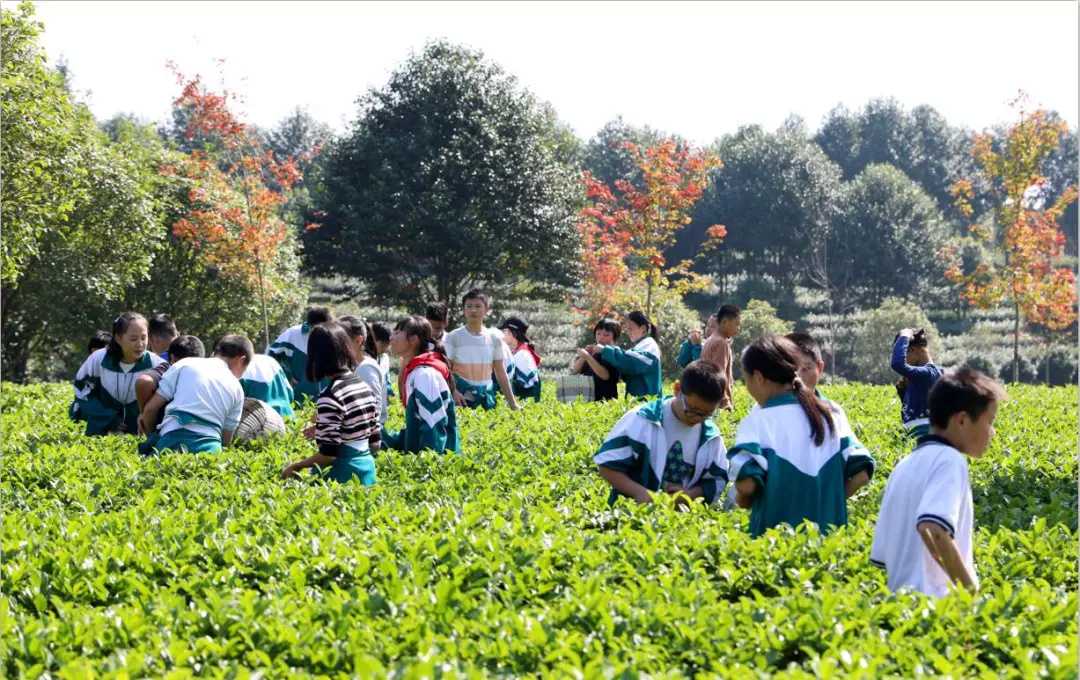 田园综合体规划,研学旅行