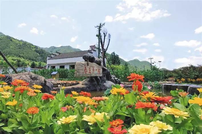 森林康养基地规划设计