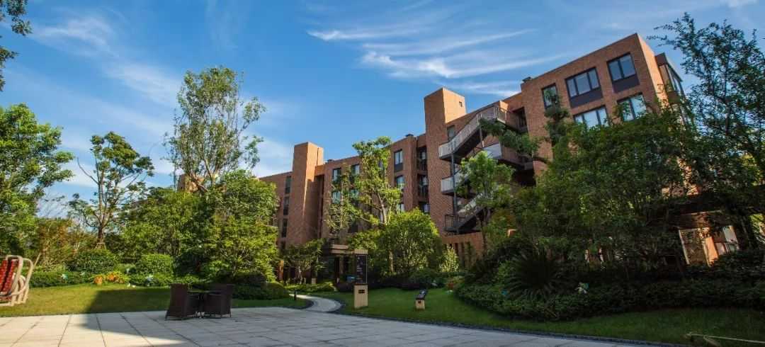 医养旅游景区规划