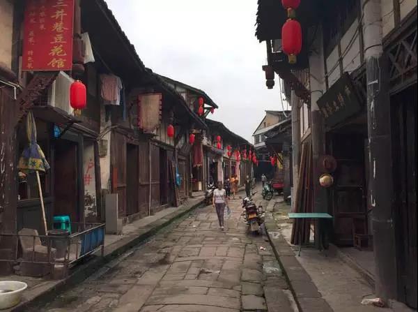 旅游规划