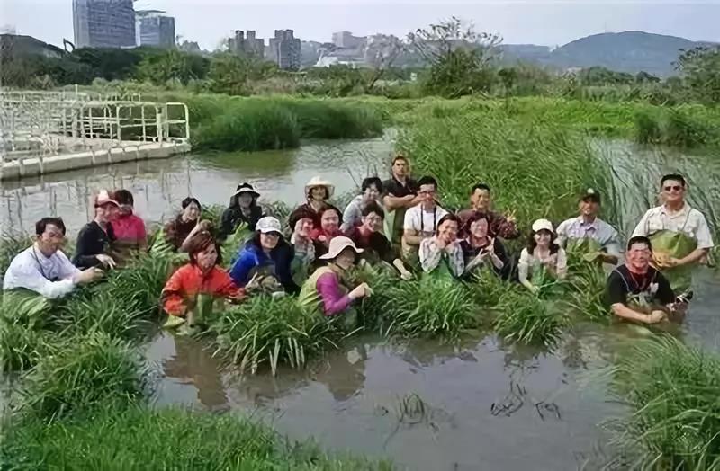 旅游规划