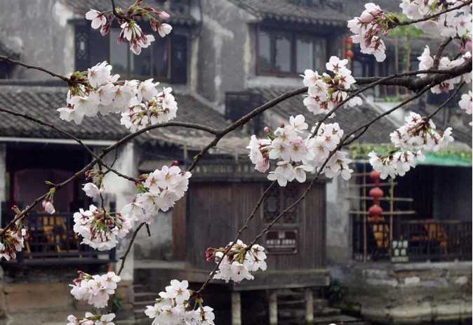 旅游规划