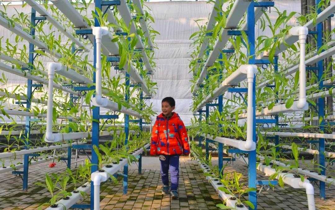 研学旅行规划设计