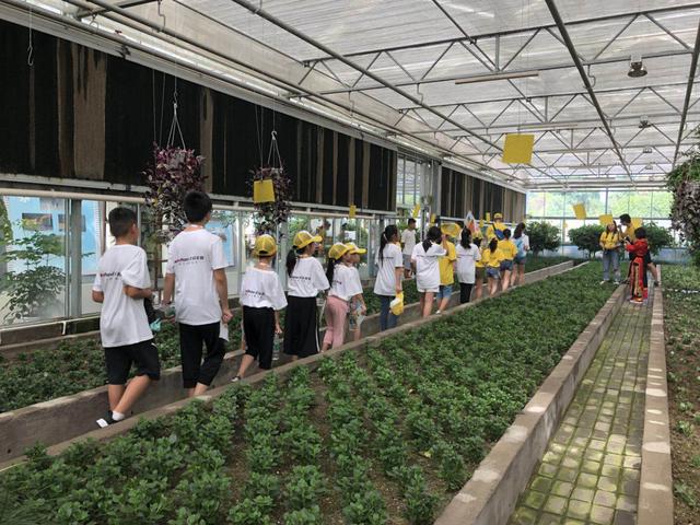 研学旅游规划