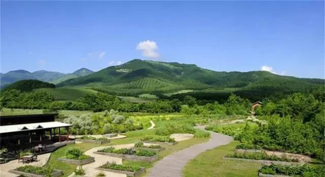 解析乡村旅游中的景观艺术学