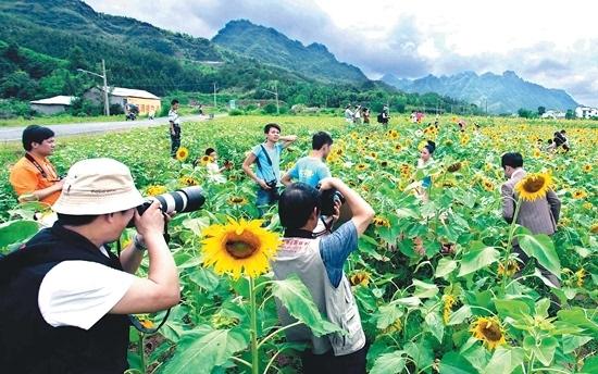 乡村旅游规划