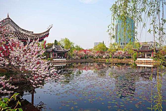景区运营| 旅游景区如何拿下老年旅游群体市场，开发年长游客群体？