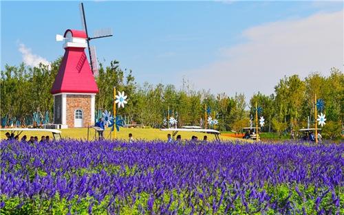 2021年|关于定制旅游的发展的思考和建议