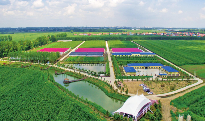 康养农业旅游