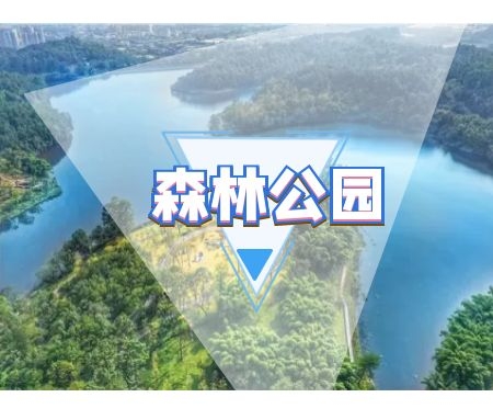 城市森林公园规划设计中存在的问题有哪些？