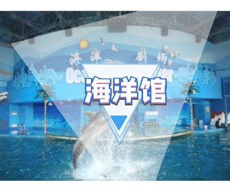 国内海洋馆文创产品设计和国外海洋馆文创产品设计的共同点