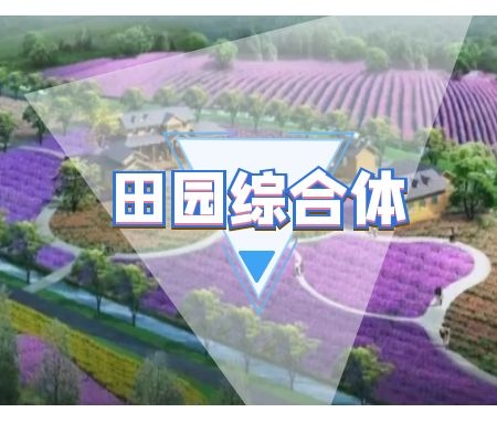 ​田园综合体规划设计和选址应遵循什么原则？