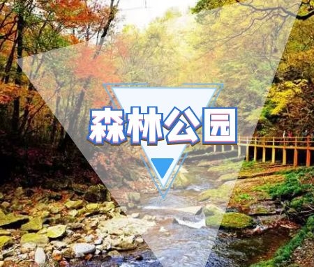 论游人活动行为变化对城市森林公园环境的影响