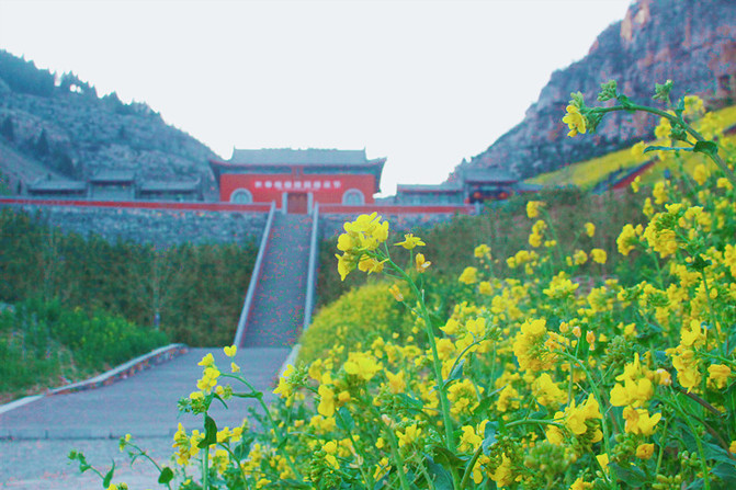 善应镇养生旅游规划