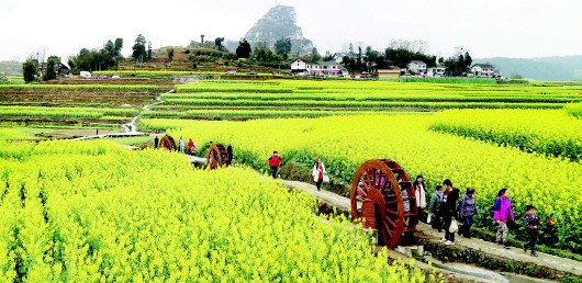 乡村景区旅游
