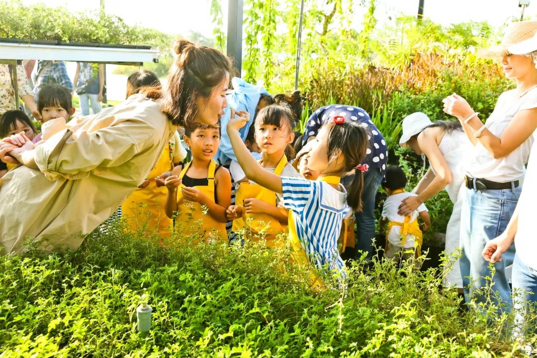 乡村旅游的研学体验空间应如何设计？