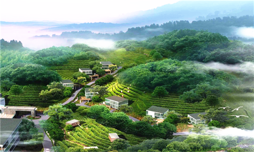 森林康养旅游开发条件的重要因素有哪些？
