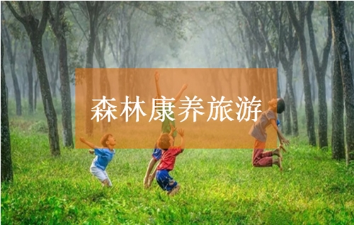 森林康养旅游设计案例启示