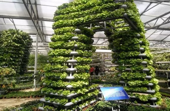 ​成功的休闲农业园都有这5类情景体验式设计！