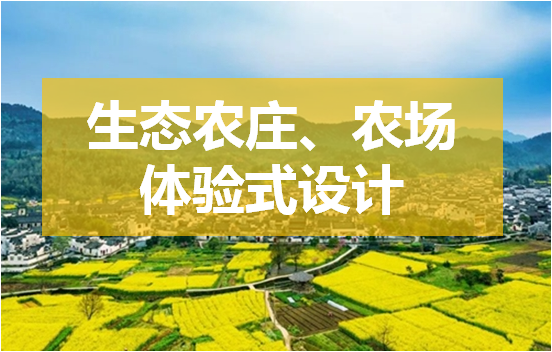 生态农庄、农场的爆火离不开这几个体验式设计原则！