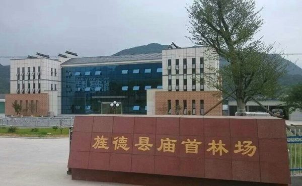 森林旅游规划设计案例之庙首森林康养基地