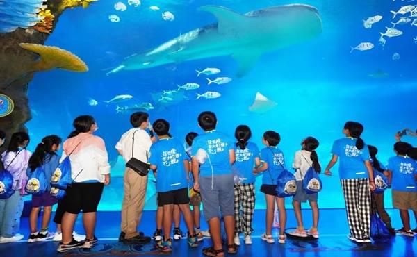 沉浸式体验设计案例之珠海长隆海洋王国