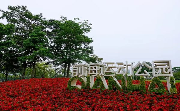 城市运动公园是怎样分类的？其特征及规划设计原则有哪些？